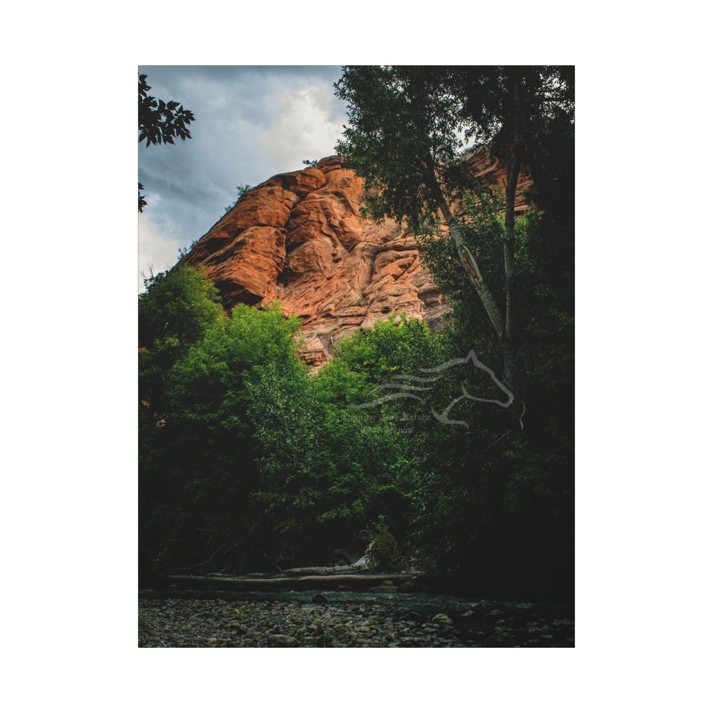 Red Rock Near Ayres Natural Bridge Canvas