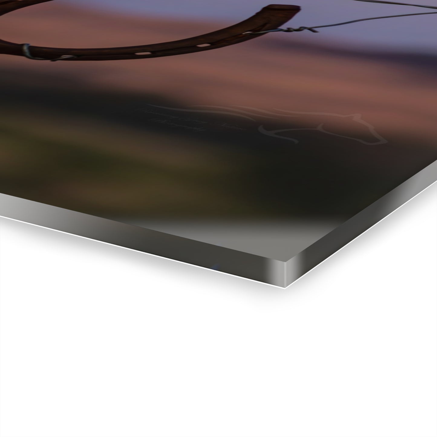 Rustic Horseshoe Acrylic