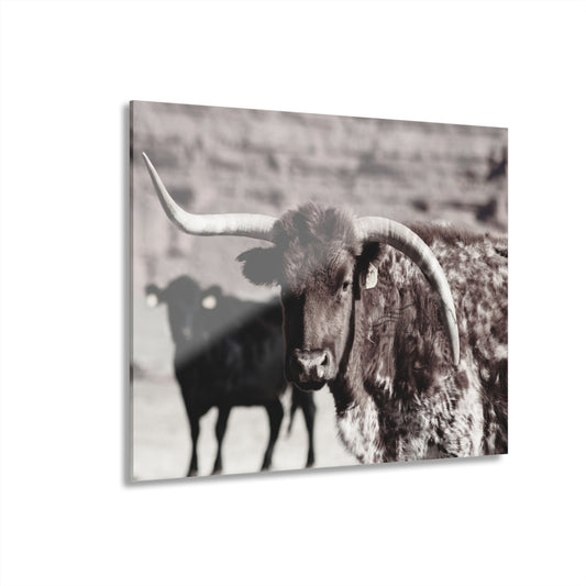 Rustic Longhorn Acrylic