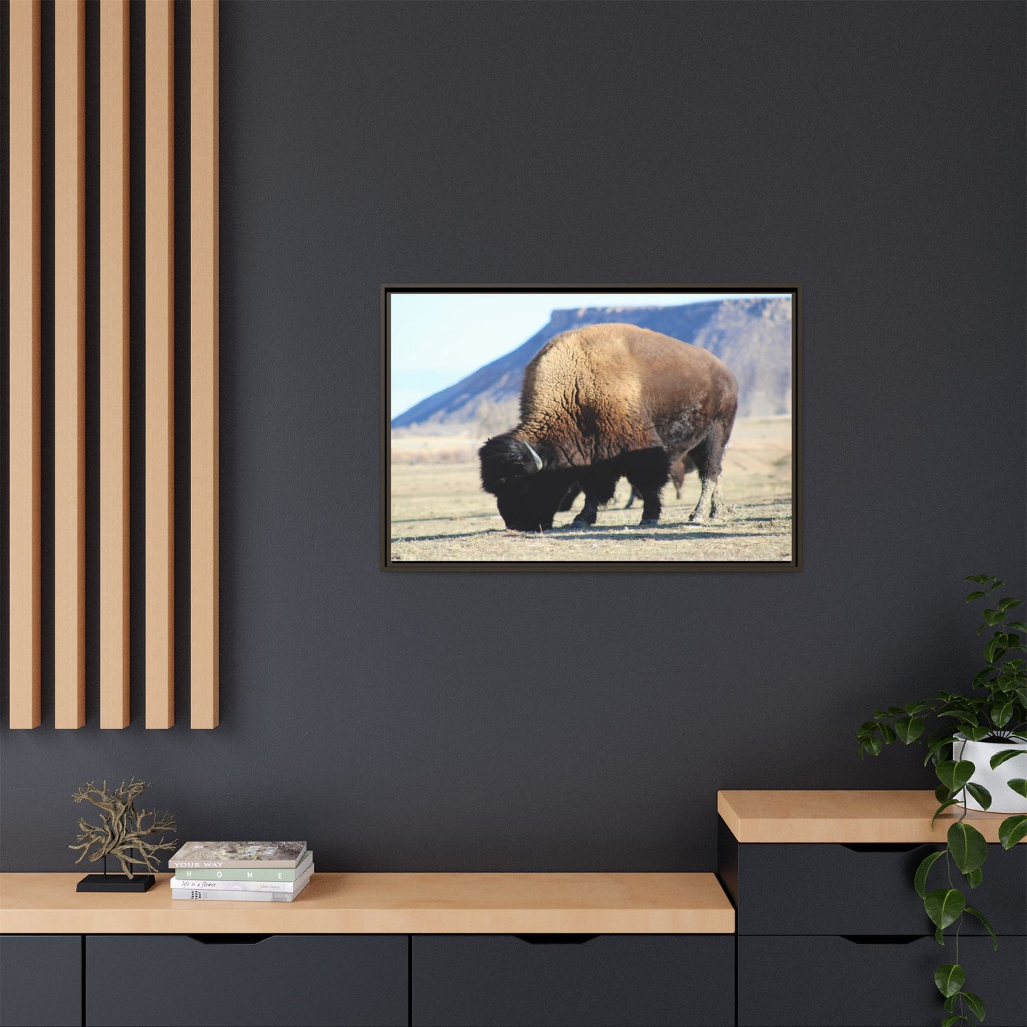 Big Daddy Buffalo Framed Canvas
