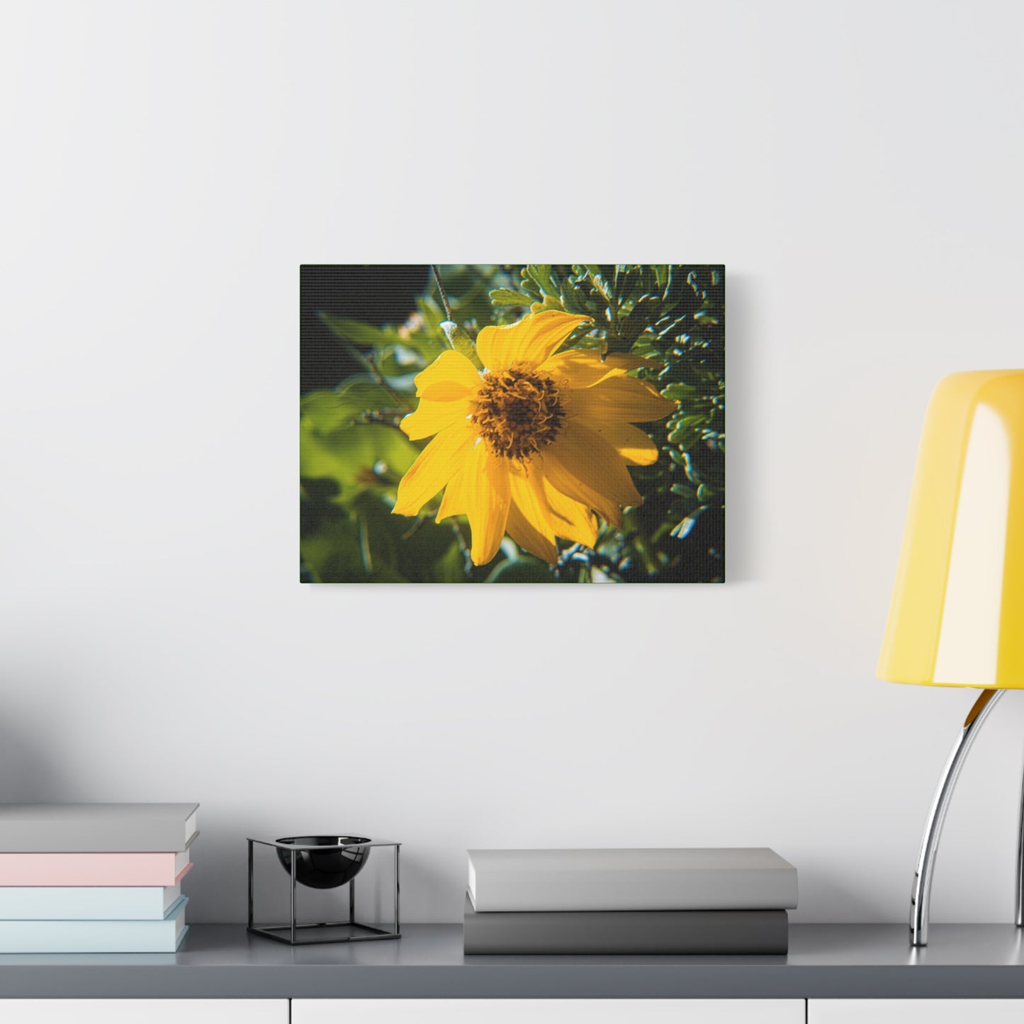 Arrowleaf Balsamroot Canvas