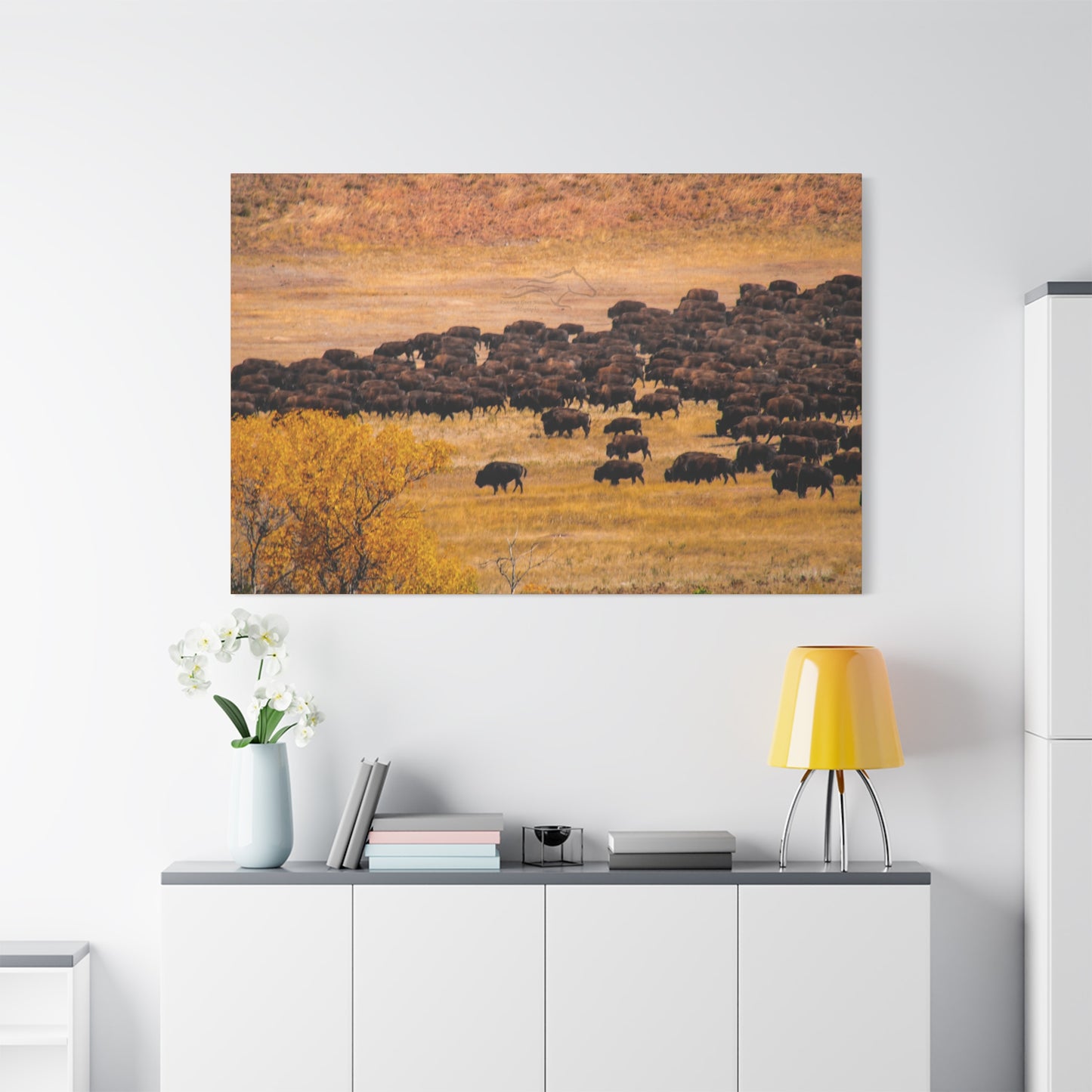 Buffalo all Gathered Canvas