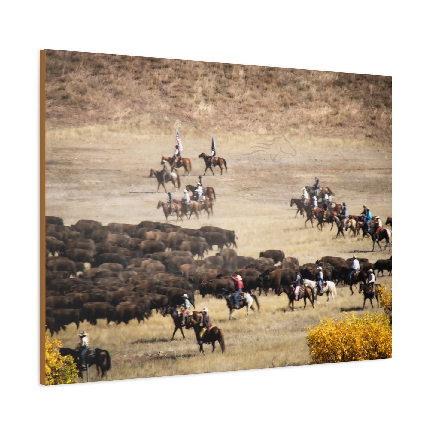 Cowboys and Buffalos Canvas