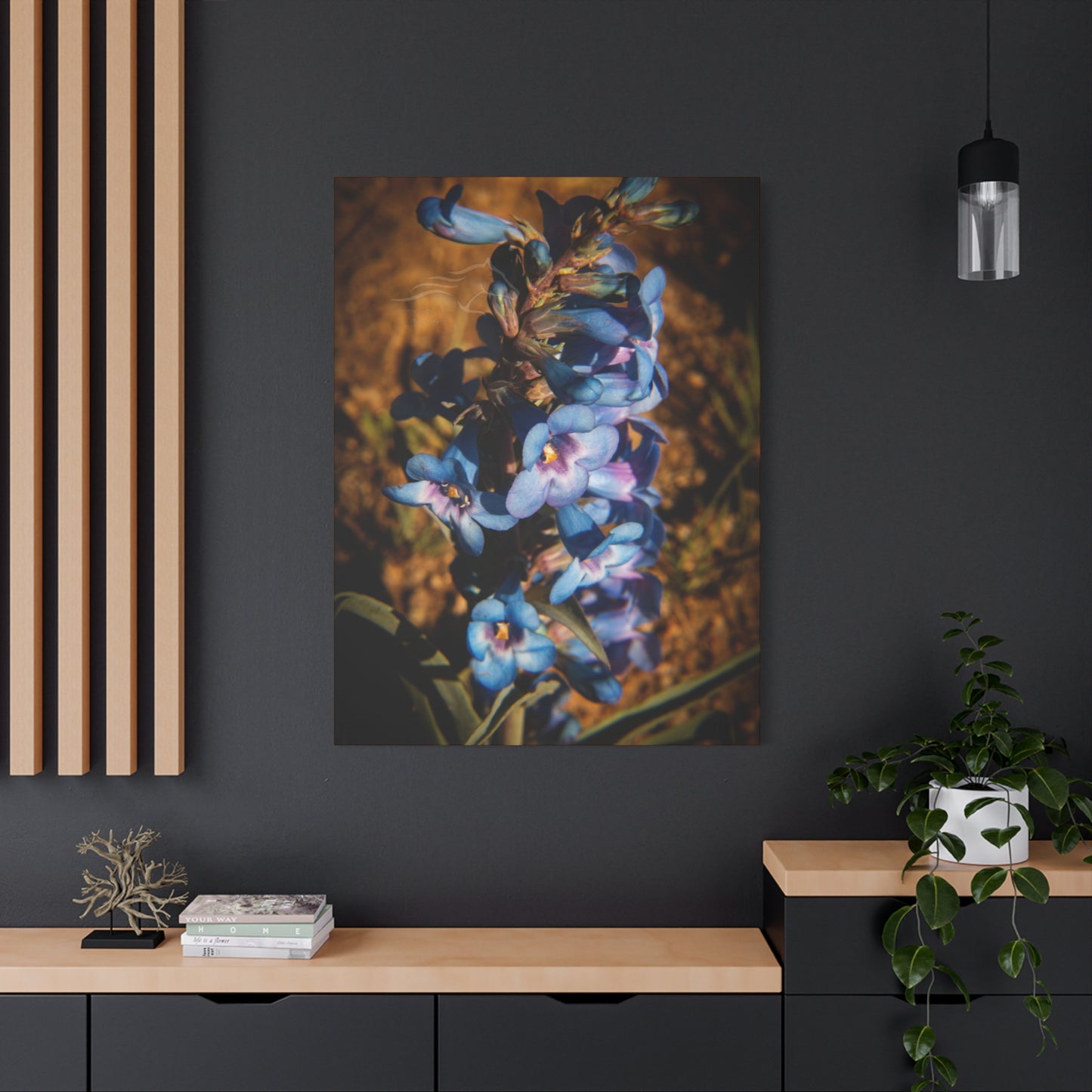 Showy Penstemon Canvas