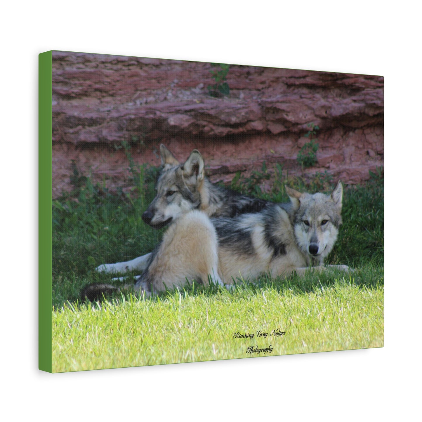 Wolves Matte Canvas, Stretched, 1.25"