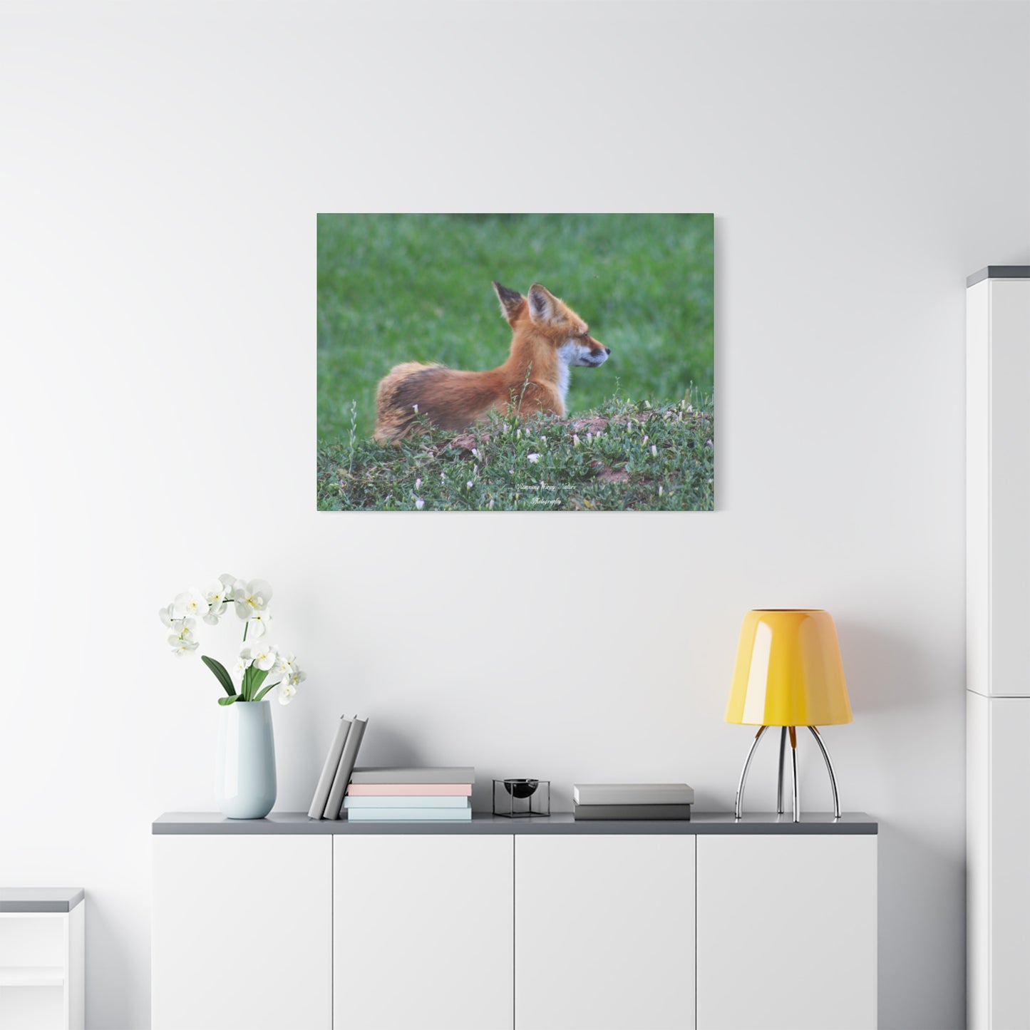 Red Tail Fox Matte Canvas, Stretched, 1.25"