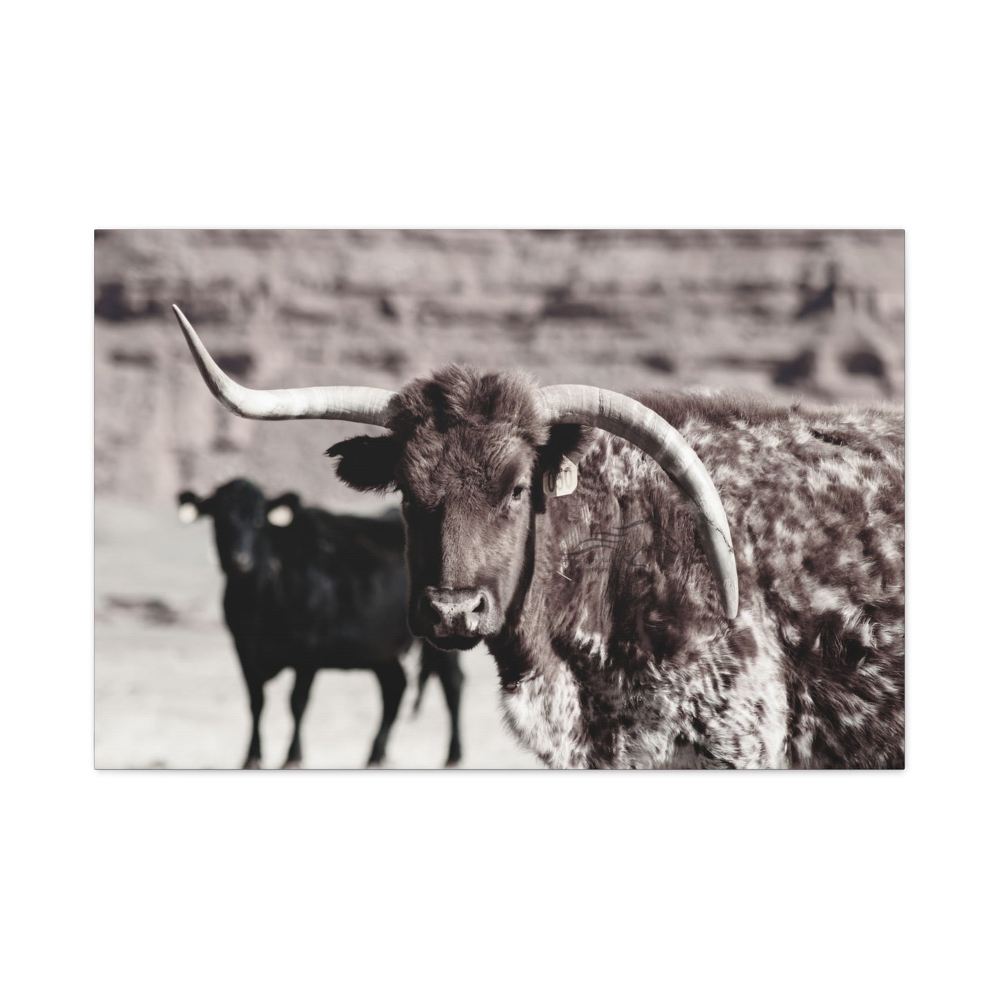 Rustic Longhorn Canvas
