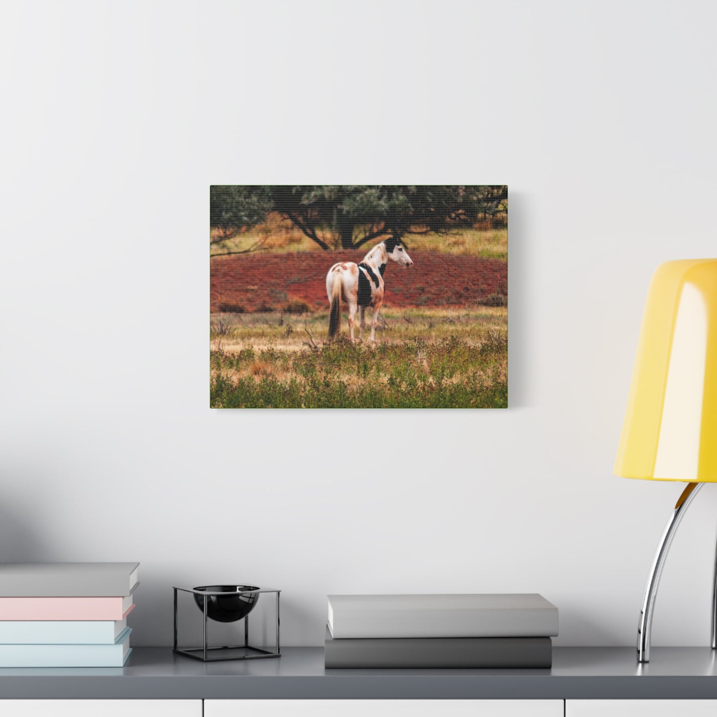 Painted Horse Canvas