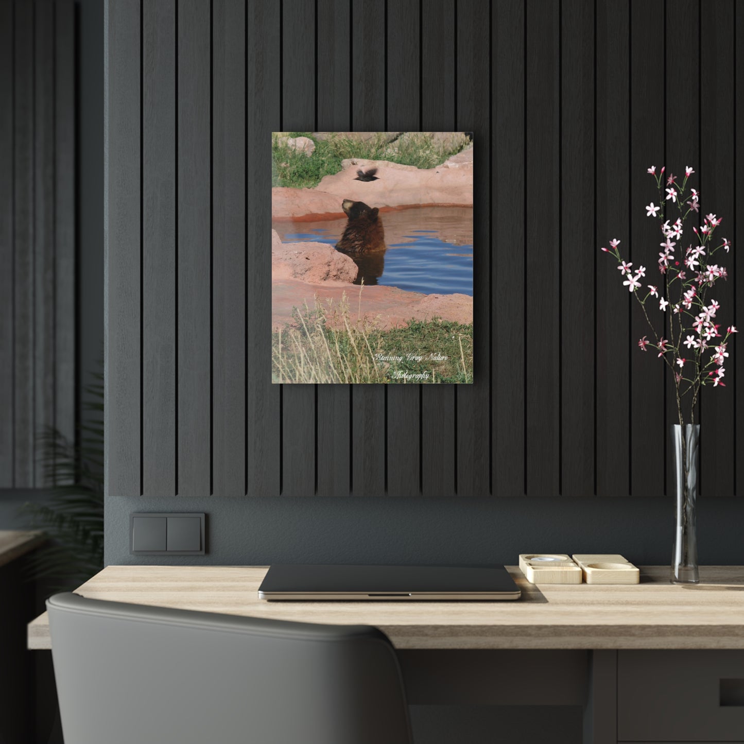 Bird Watching Acrylic Prints