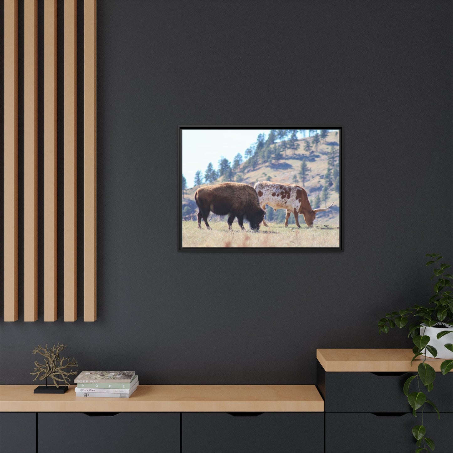 Long Horn and Buffalo Framed Canvas