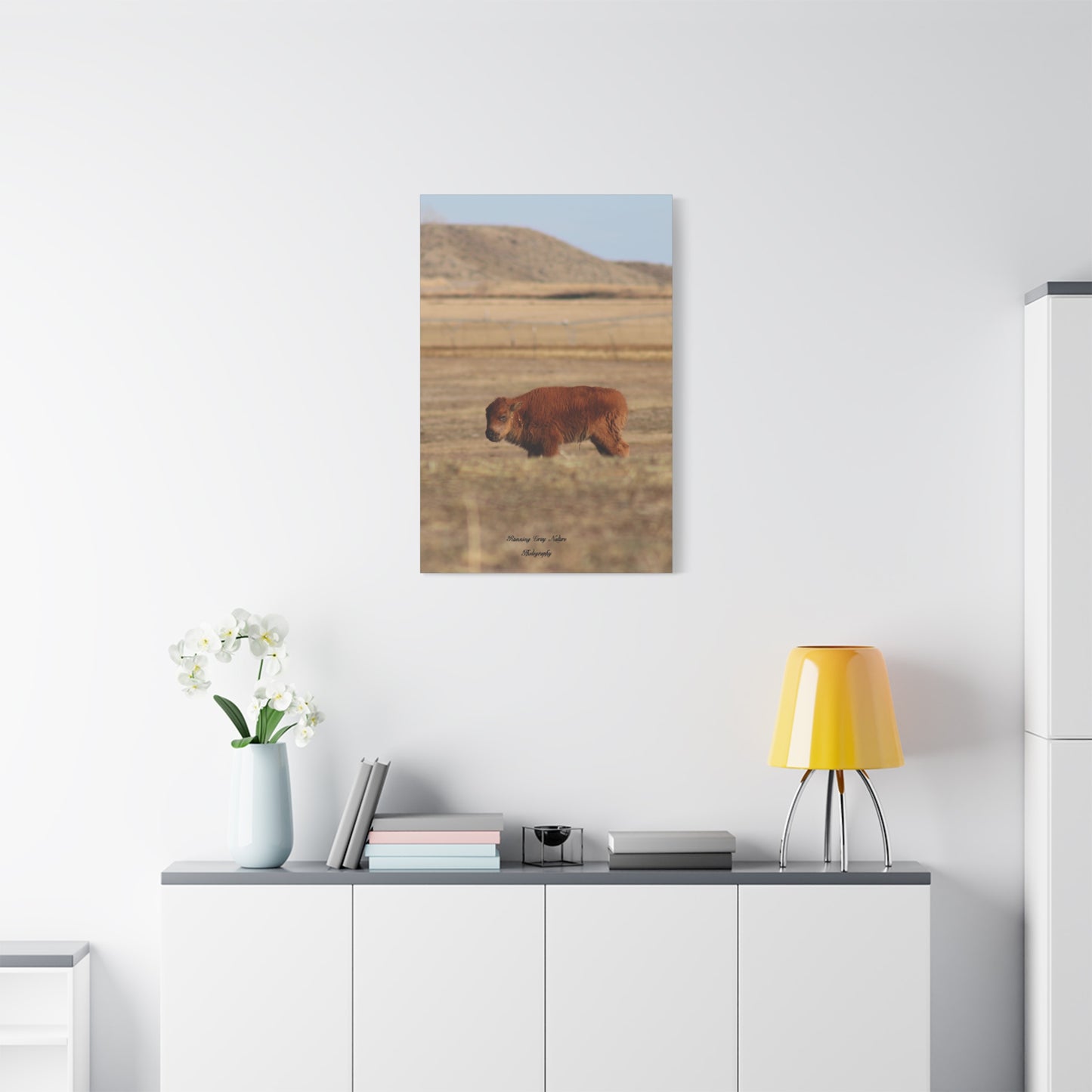 Baby Buffalo Matte Canvas, Stretched, 1.25"