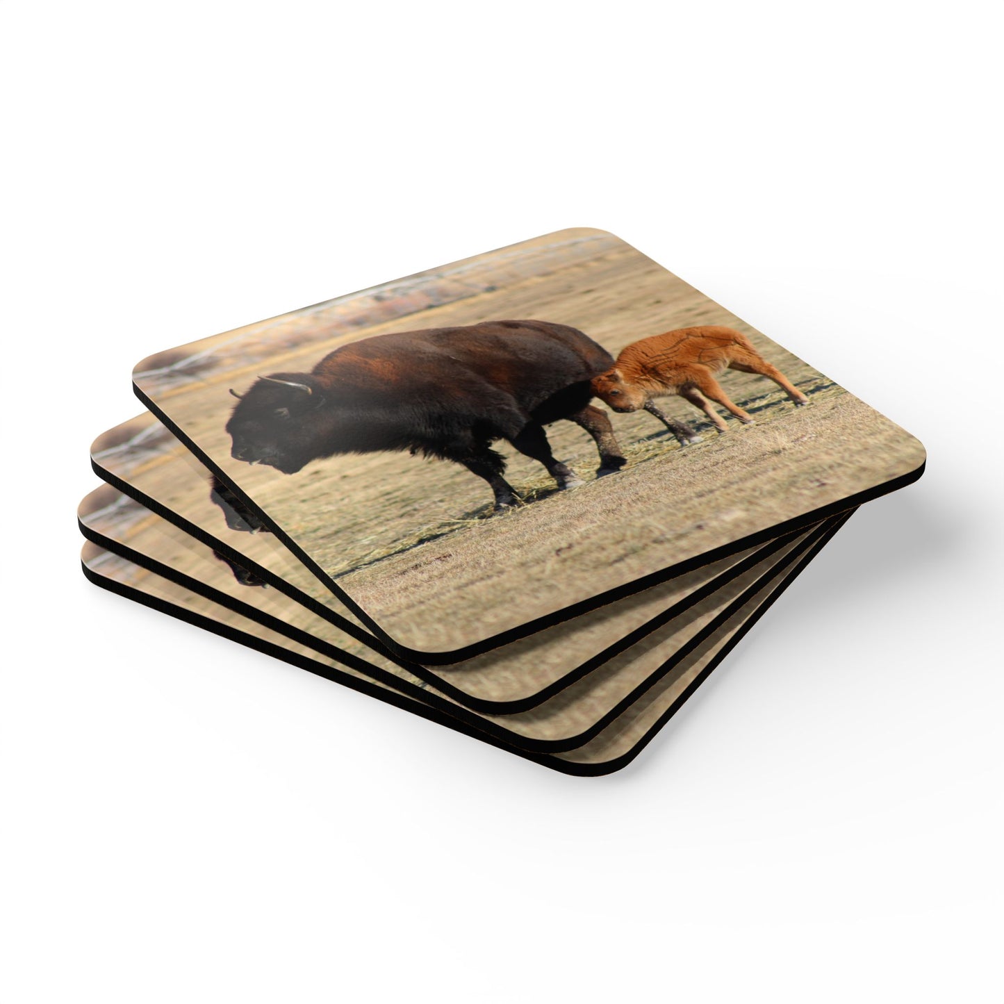 Corkwood Coaster Set