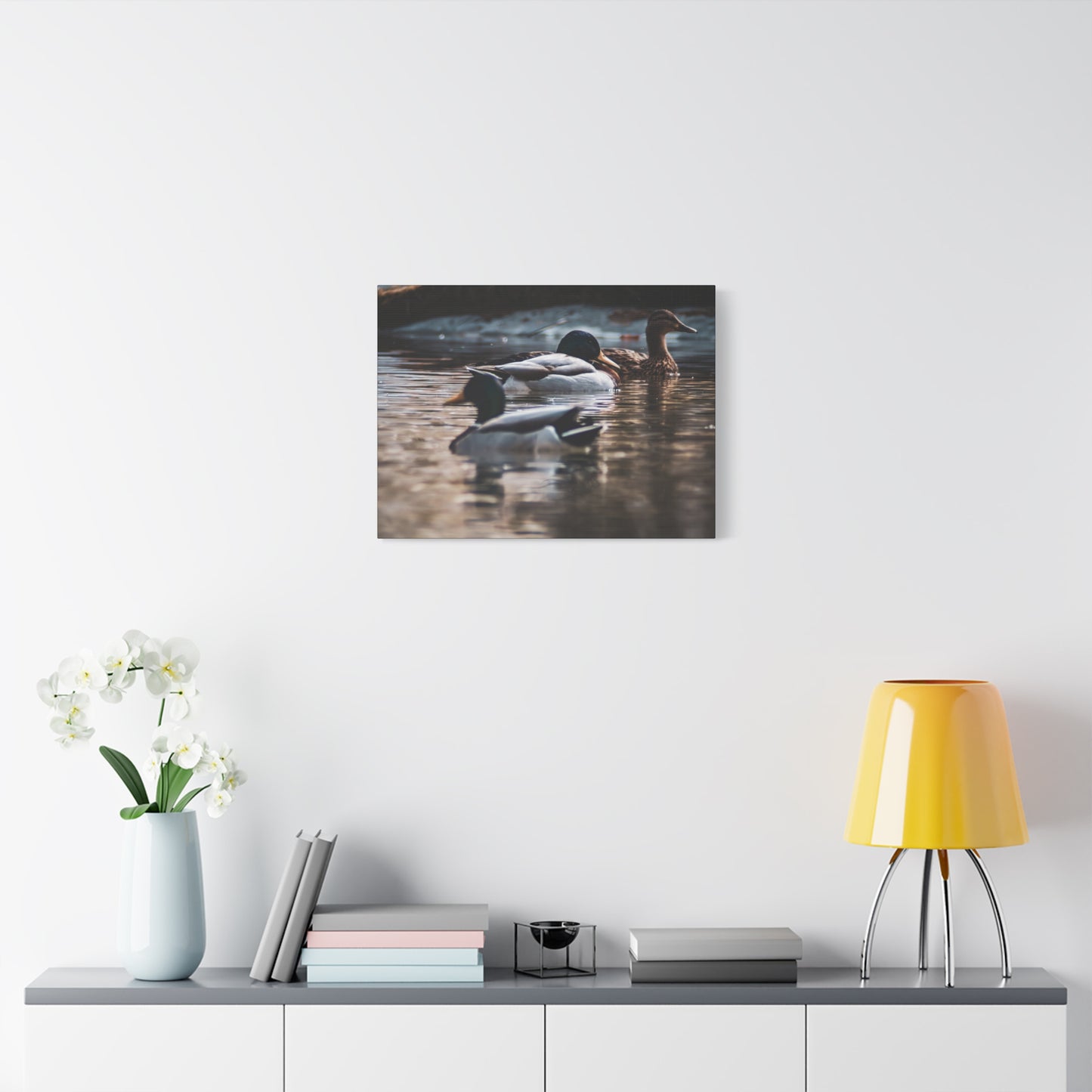 Mallard Ducks Canvas