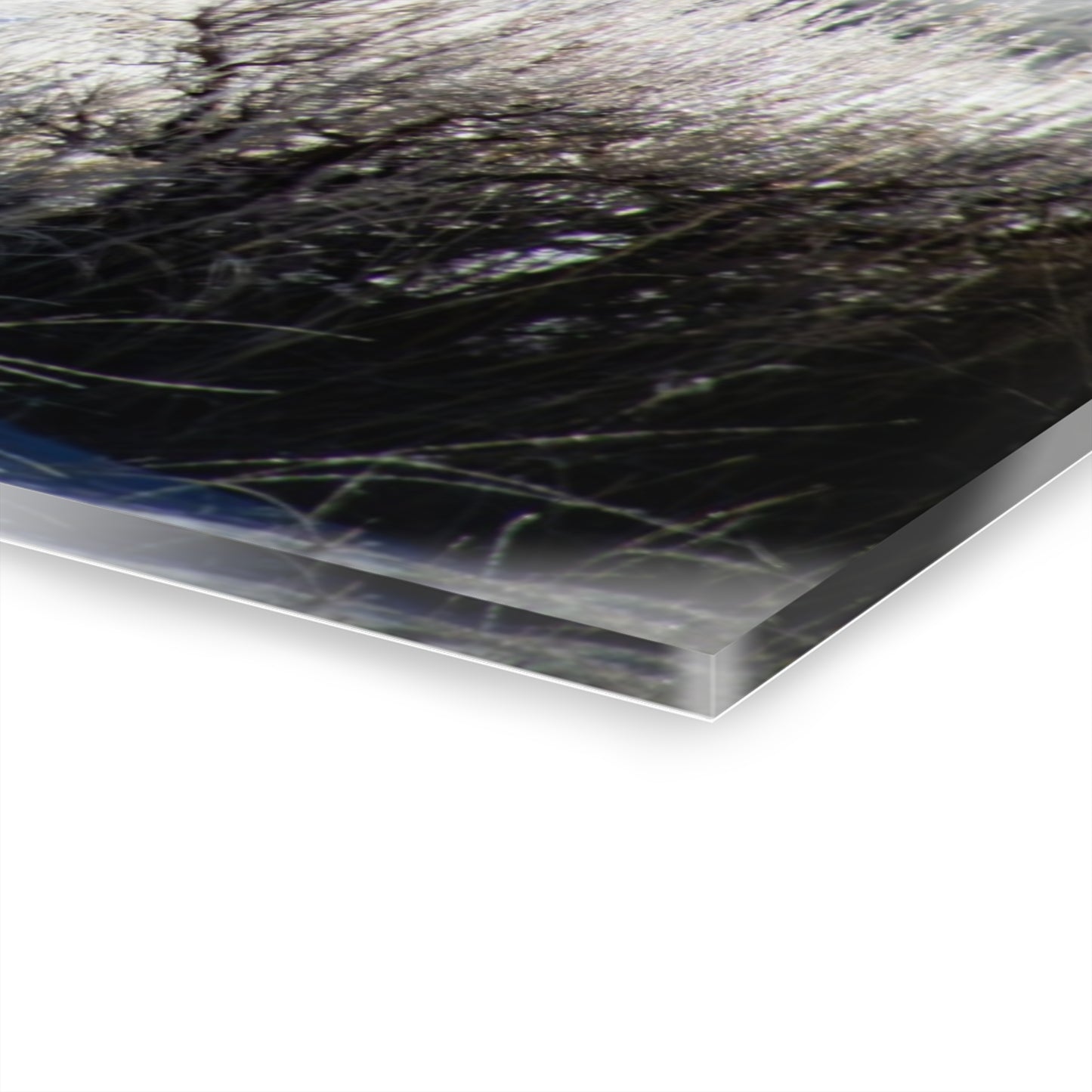 Early Morning Buffalo Acrylic