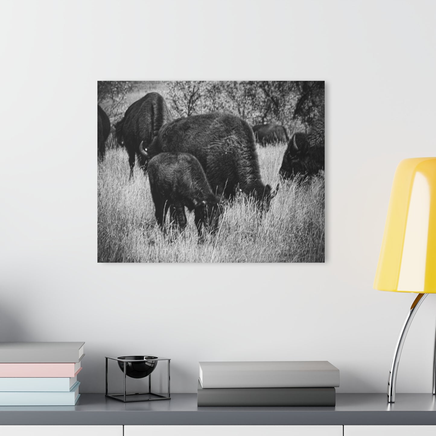 Black and White Buffalo Acrylic