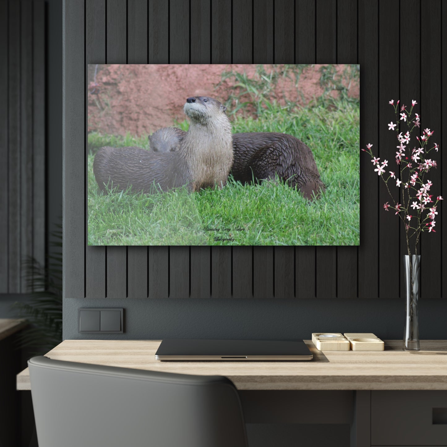 Otter Stare Acrylic Prints