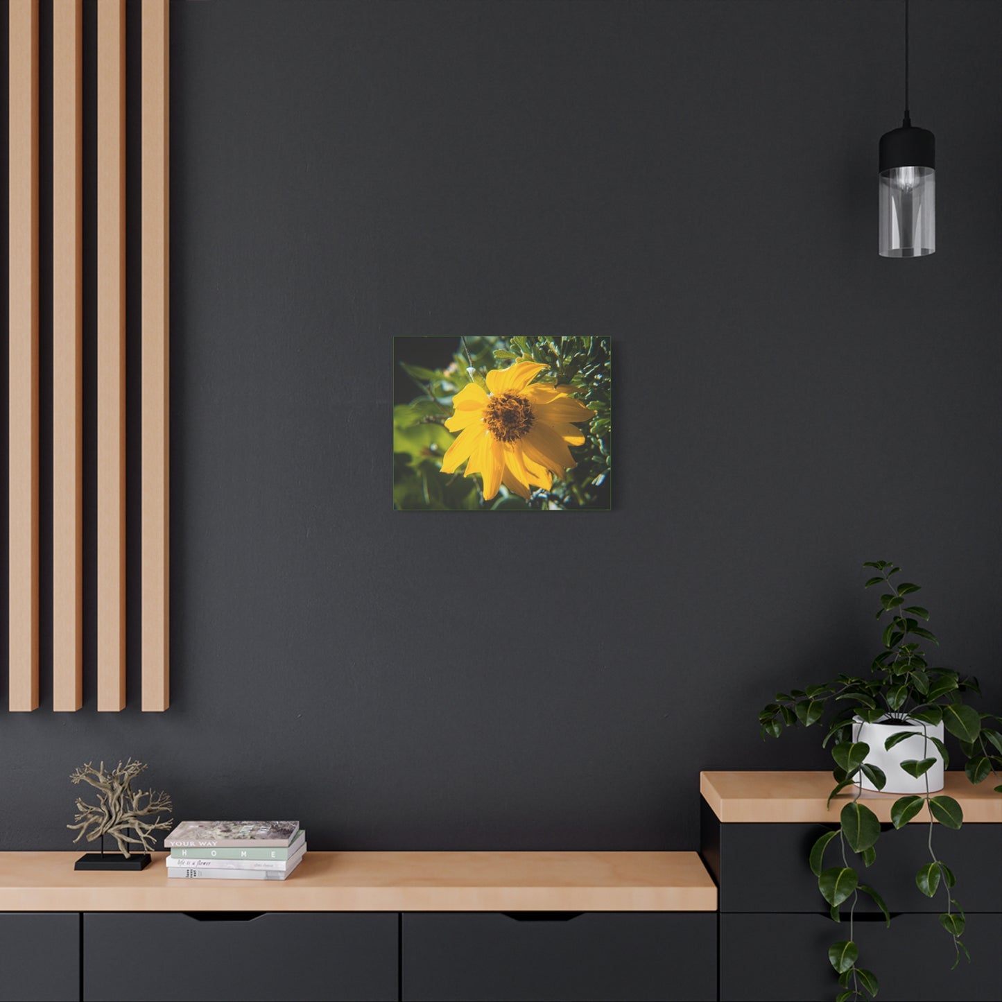 Arrowleaf Balsamroot Canvas