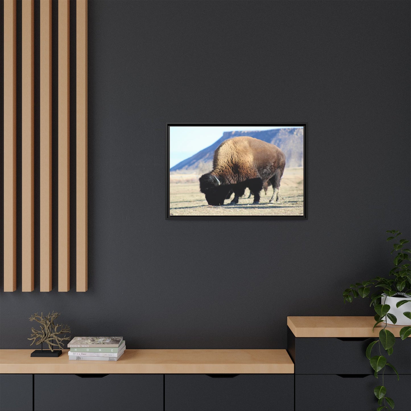 Big Daddy Buffalo Framed Canvas