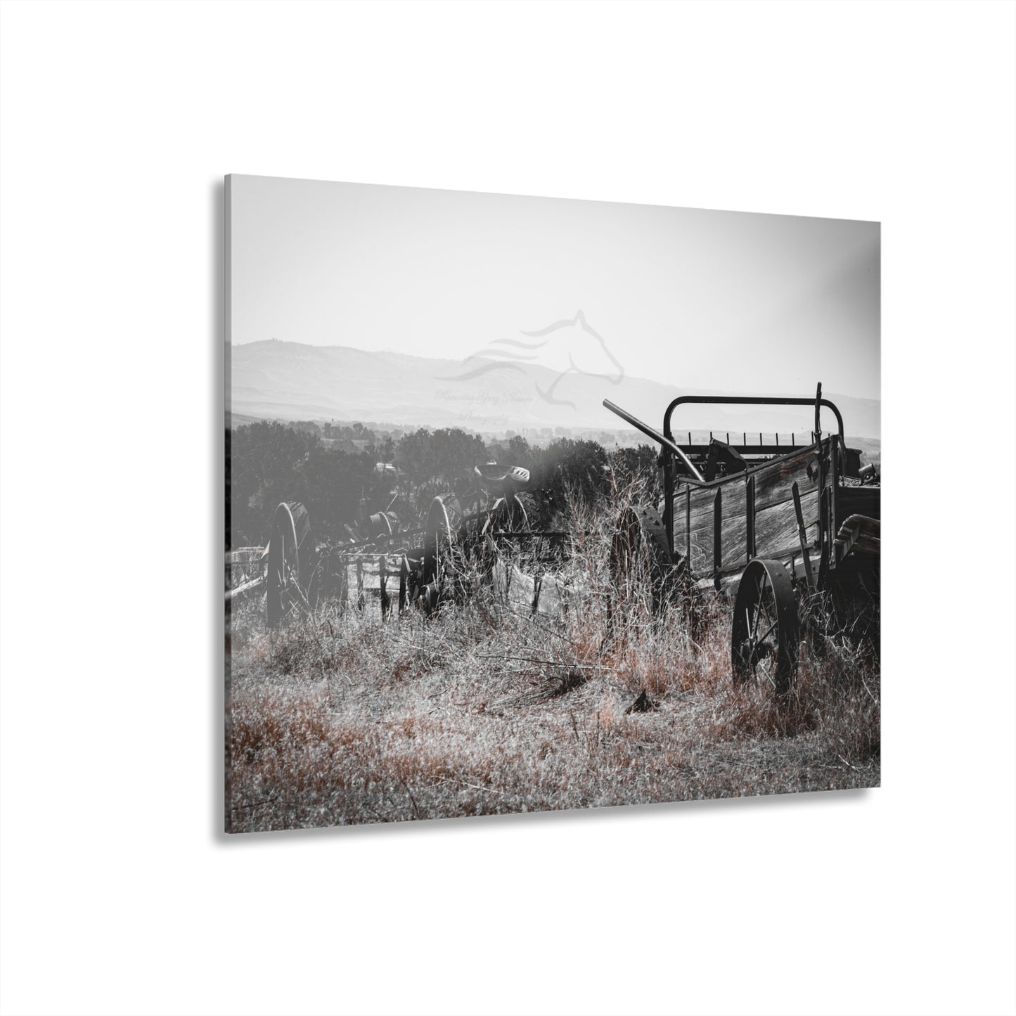 Rustic Black and White Wagon Acrylic