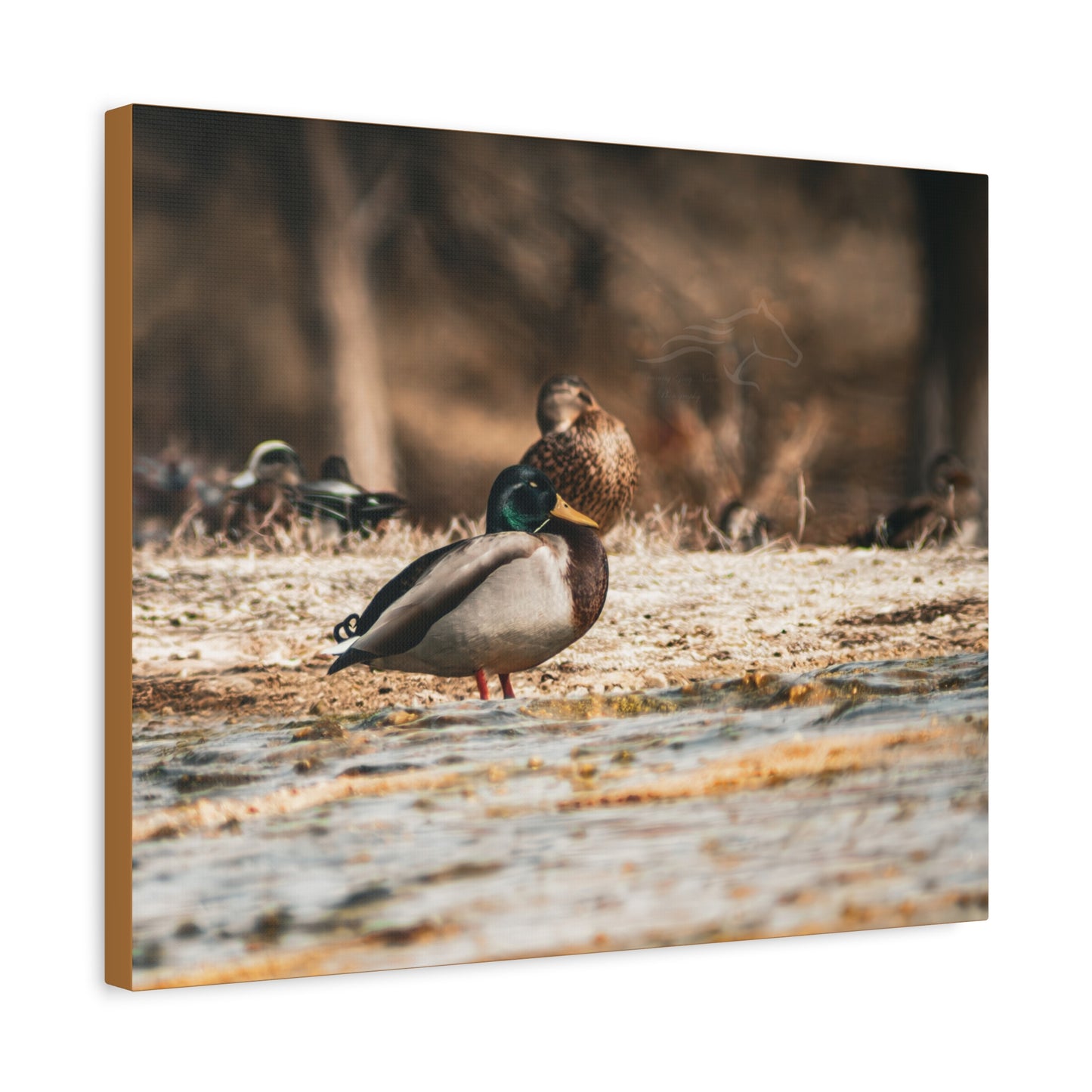 Nature-Inspired Duck Canvas