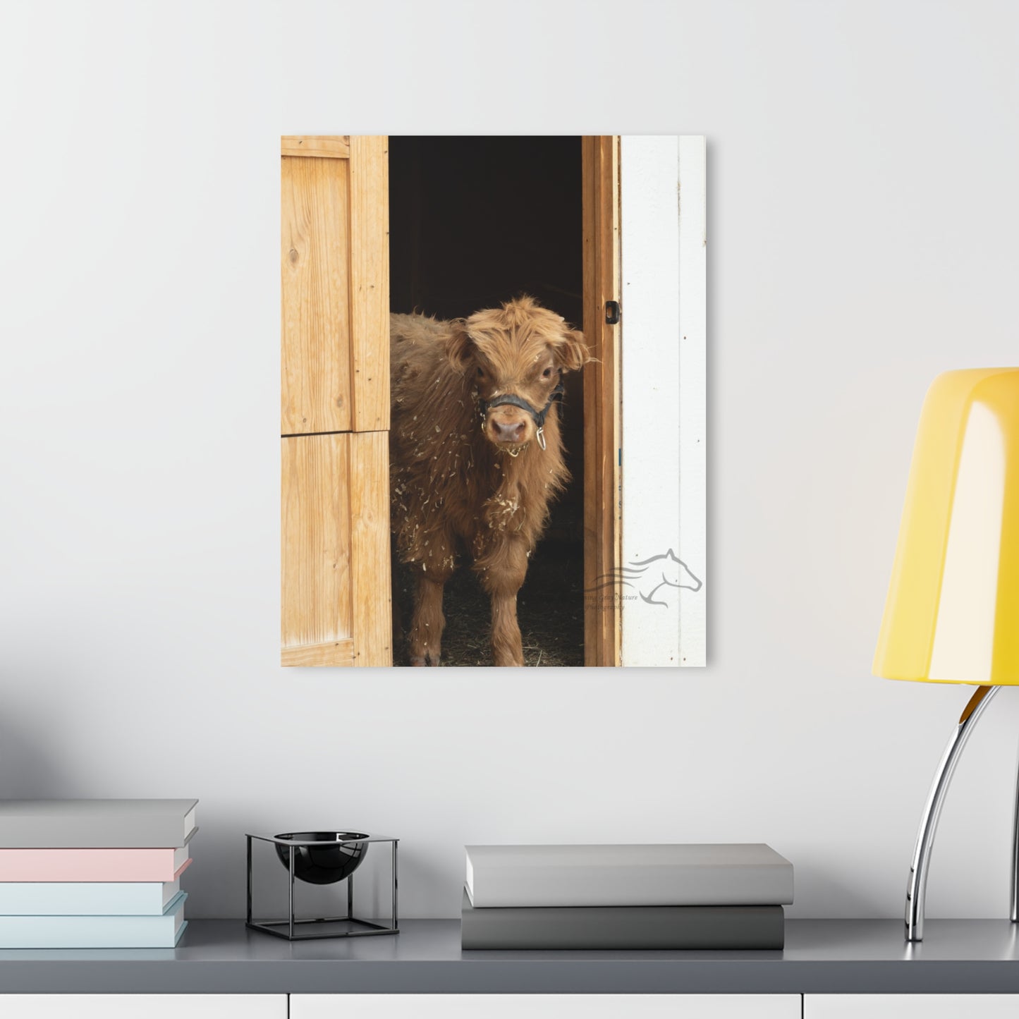 Little Highlander Acrylic