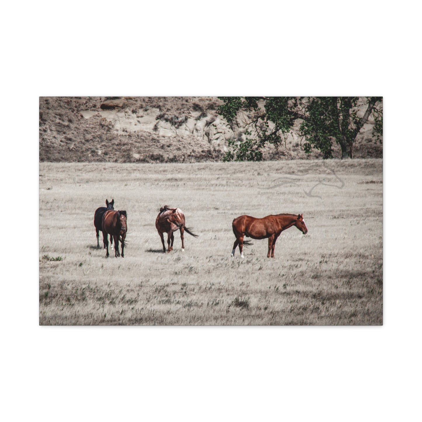 Not everything is Black and White