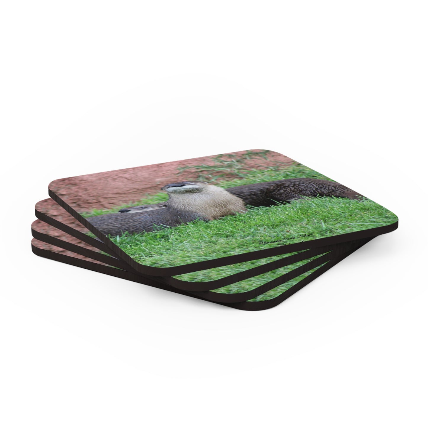 Otters Corkwood Coaster Set