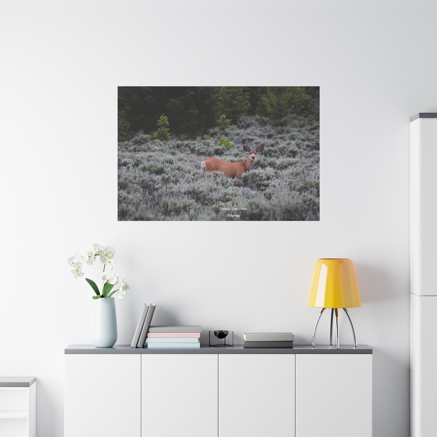 Wyoming Deer Matte Canvas, Stretched, 1.25"