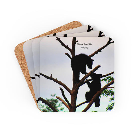 Cubs in a Tree Corkwood Coaster Set