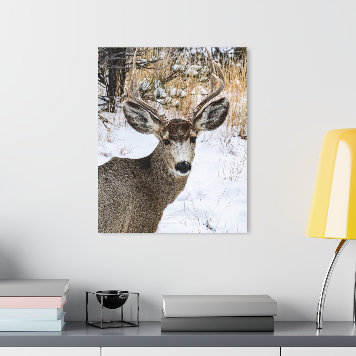 Deer Antlers in February Acrylic