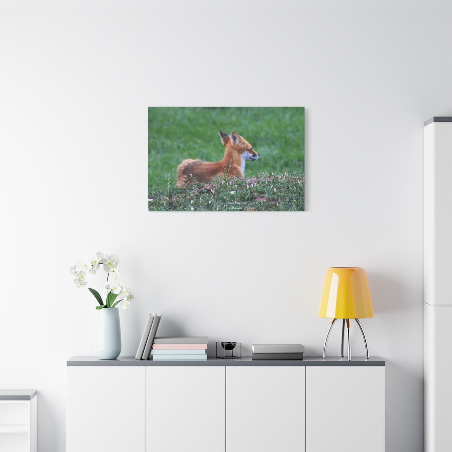 Red Tail Fox Matte Canvas, Stretched, 1.25"