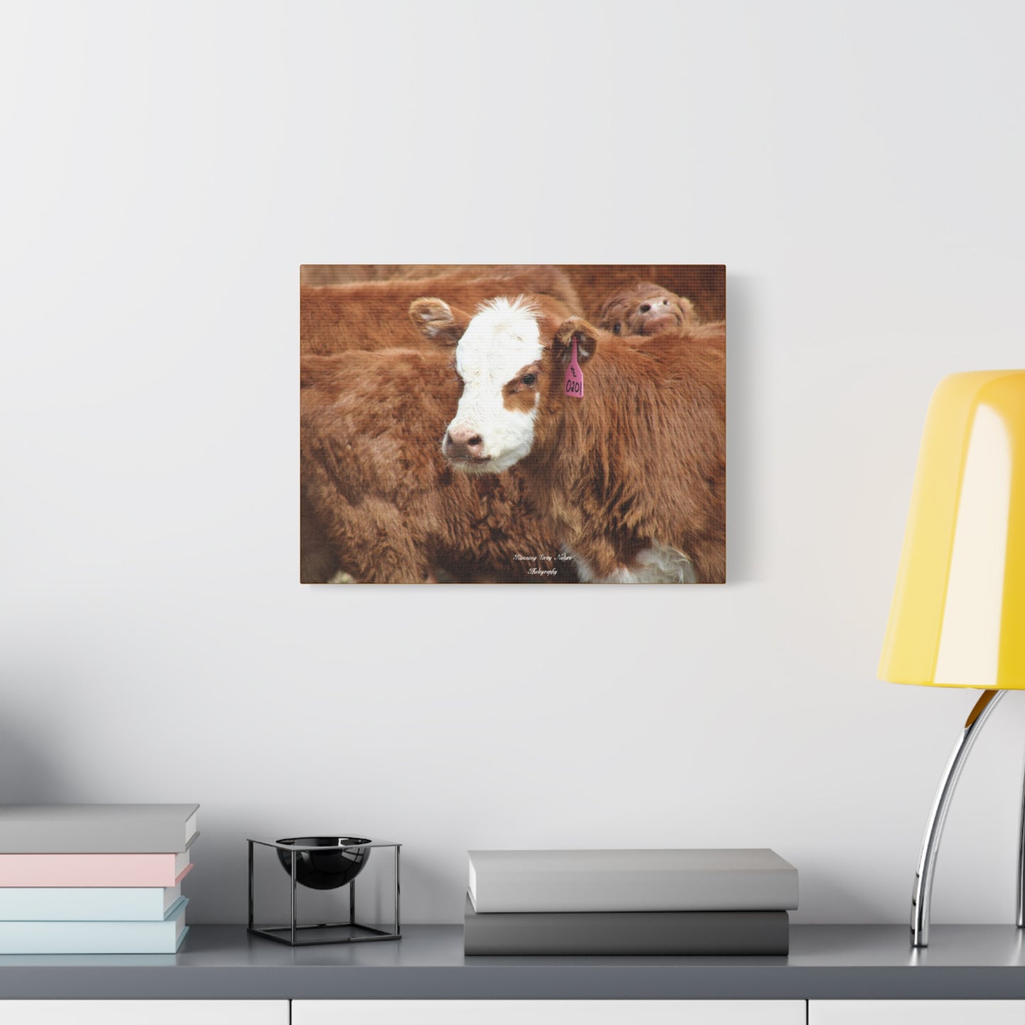 Red, White-Faced Calf Matte Canvas, Stretched, 1.25"