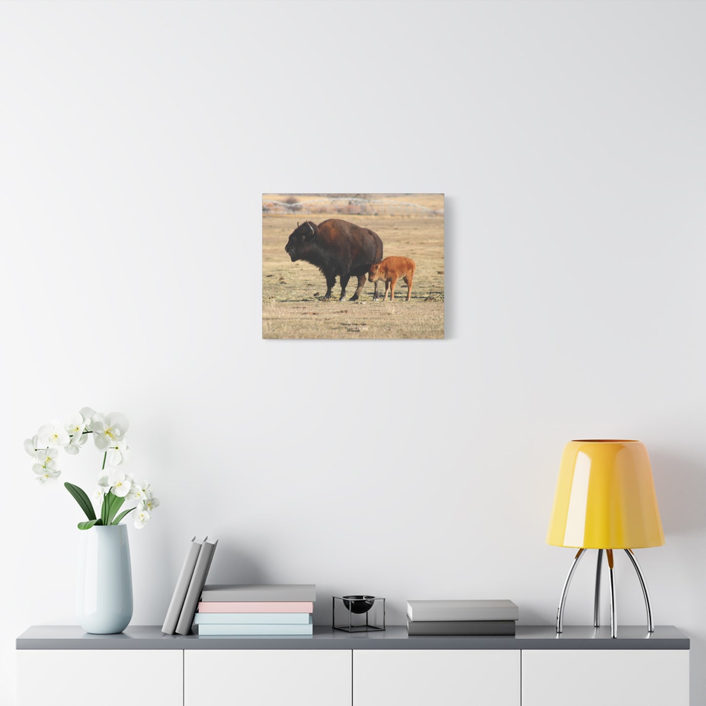 Momma and Baby Buffalo Matte Canvas, Stretched, 1.25"