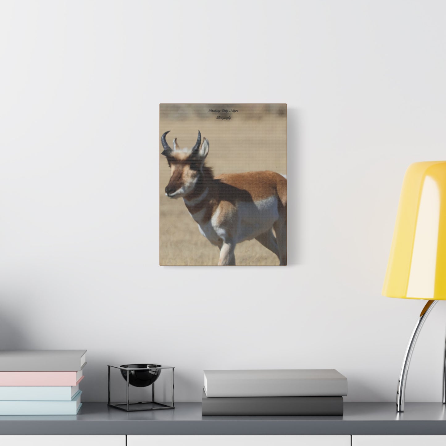 Wyoming Pronghorn Matte Canvas, Stretched, 1.25"