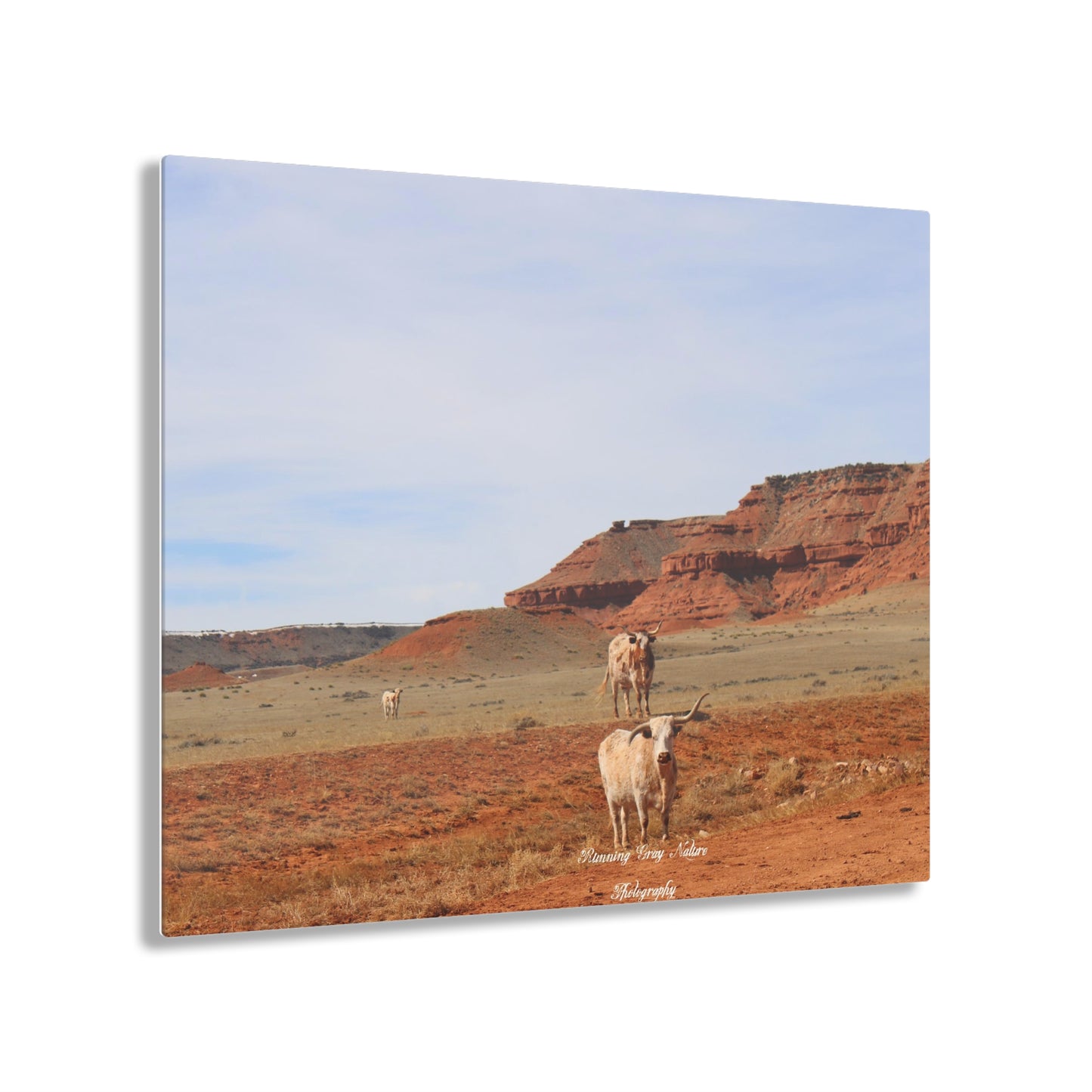 Mismatch Long Horn Hole in the Wall, WY Acrylic Prints