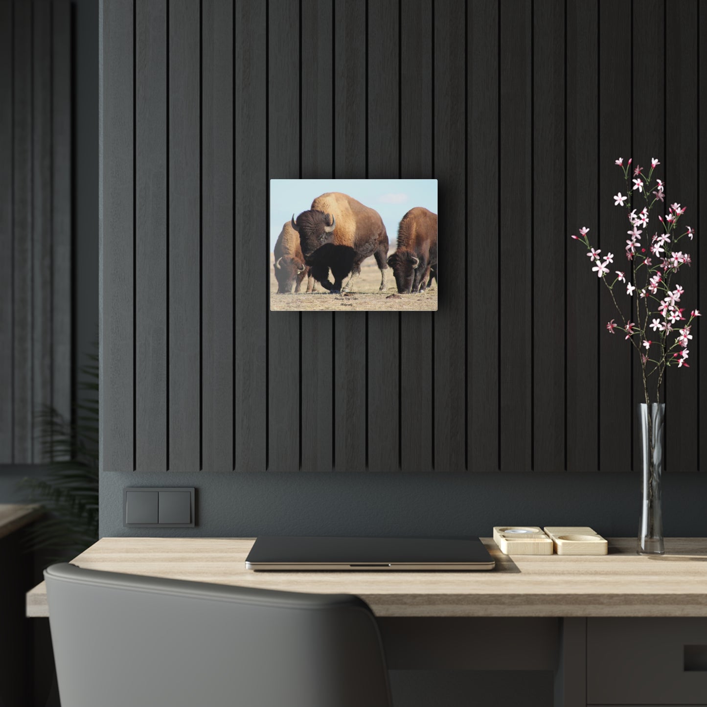 Buffalo Herd Acrylic Prints