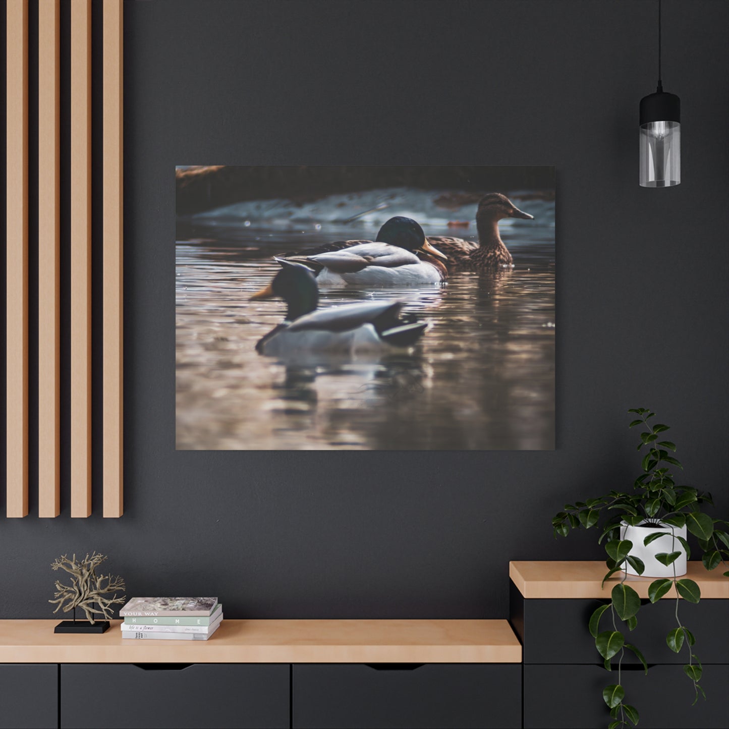 Mallard Ducks Canvas
