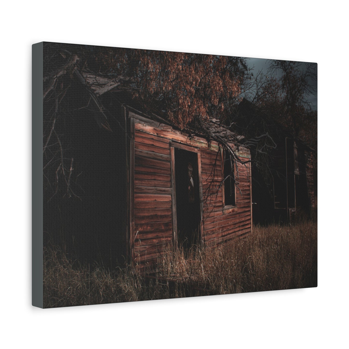 Haunting Rustic Canvas