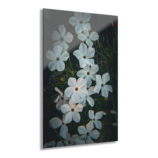 Rock Jasmine Acrylic