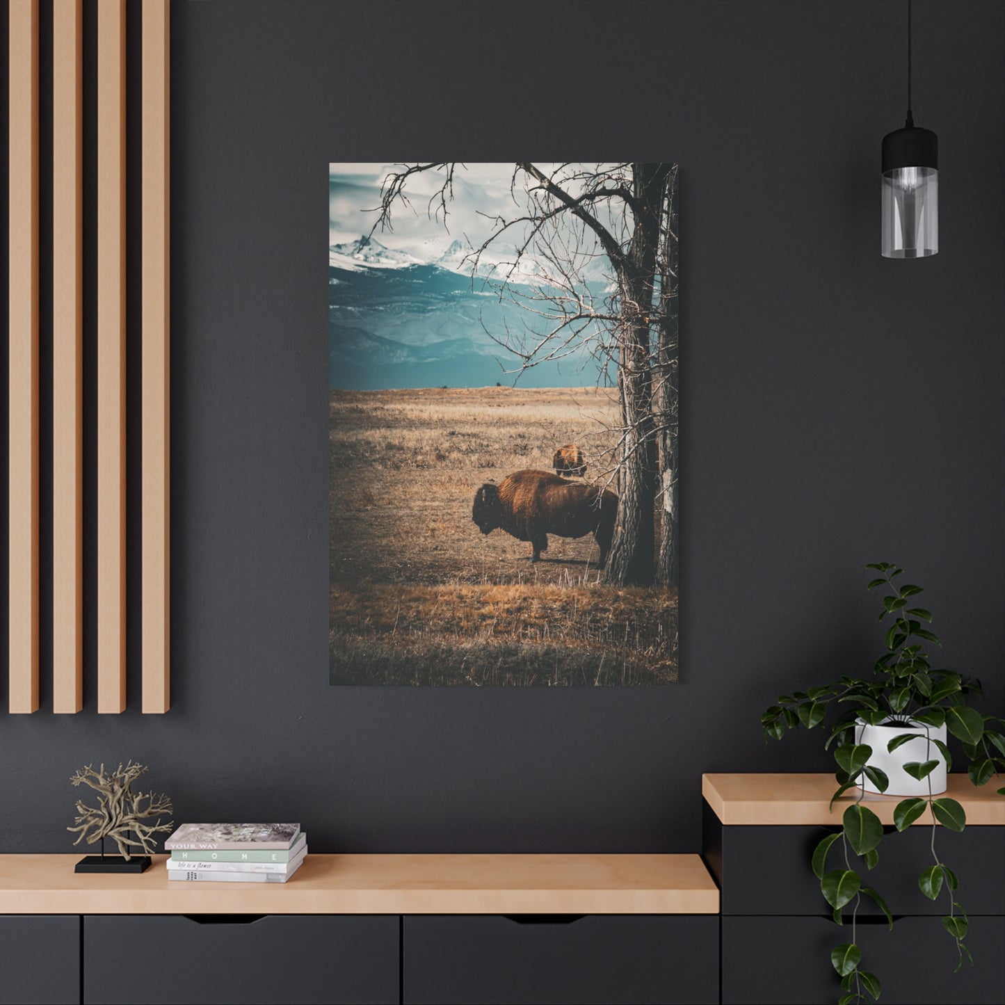 Rustic Bison Mountain Canvas