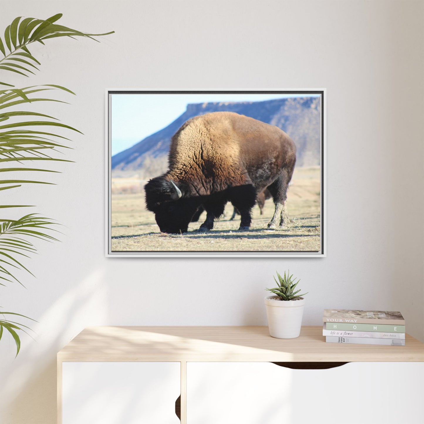 Big Daddy Buffalo Framed Canvas