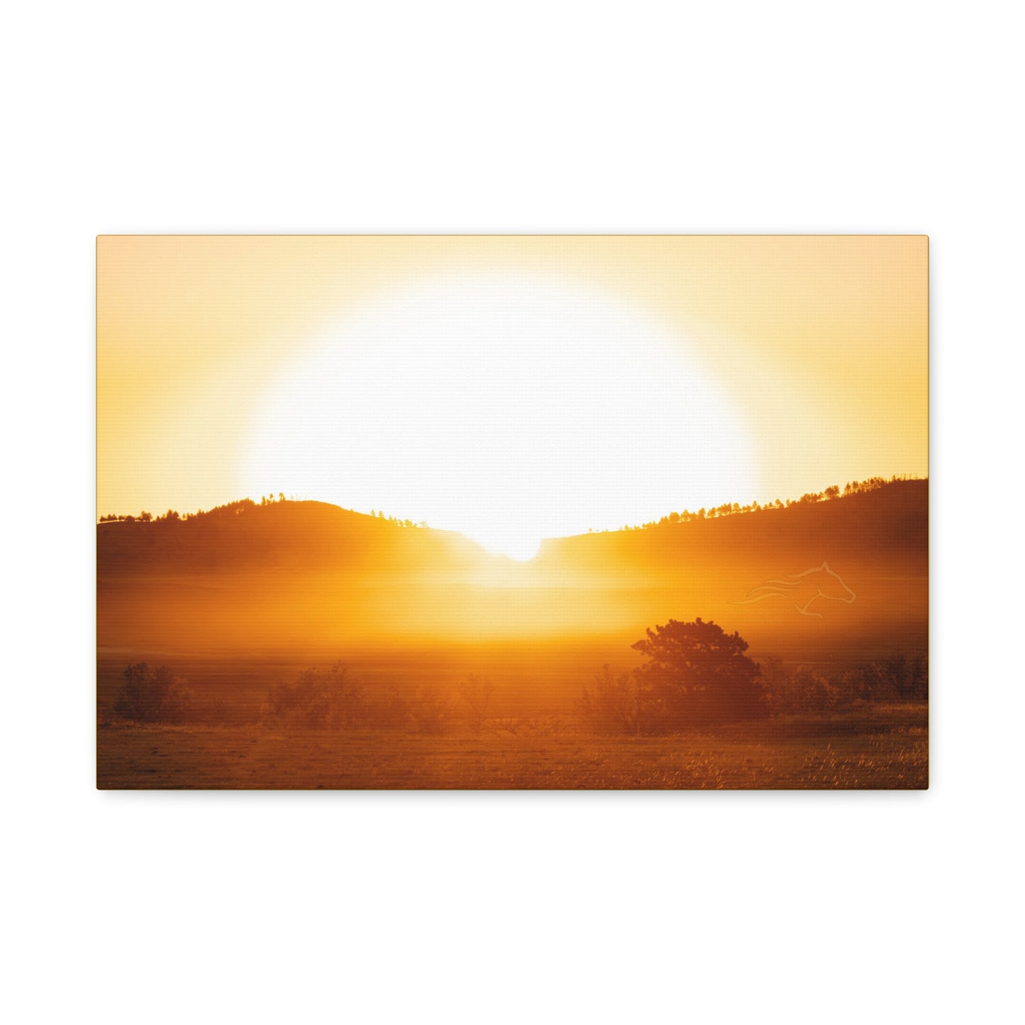 Buffalo Round Up Sunrise Canvas