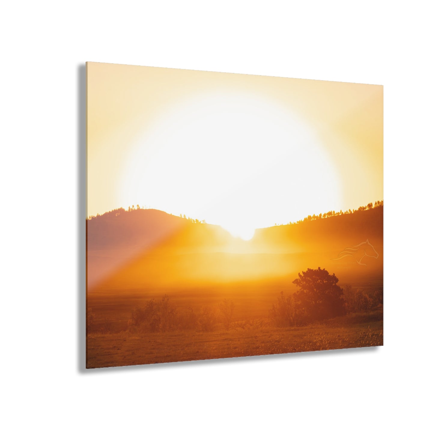 Buffalo Round Up Sunrise Acrylic