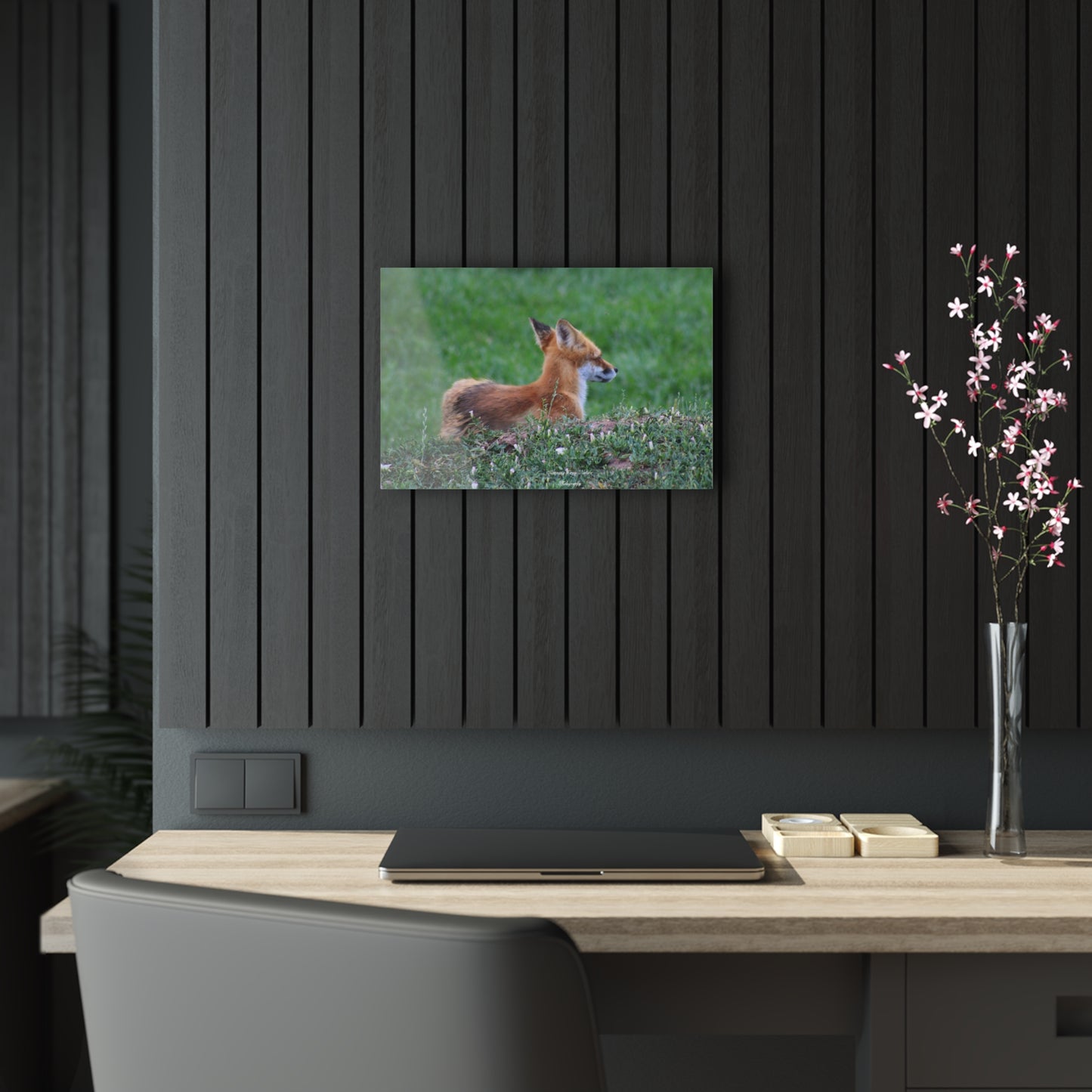 Red Tail Fox Acrylic Prints