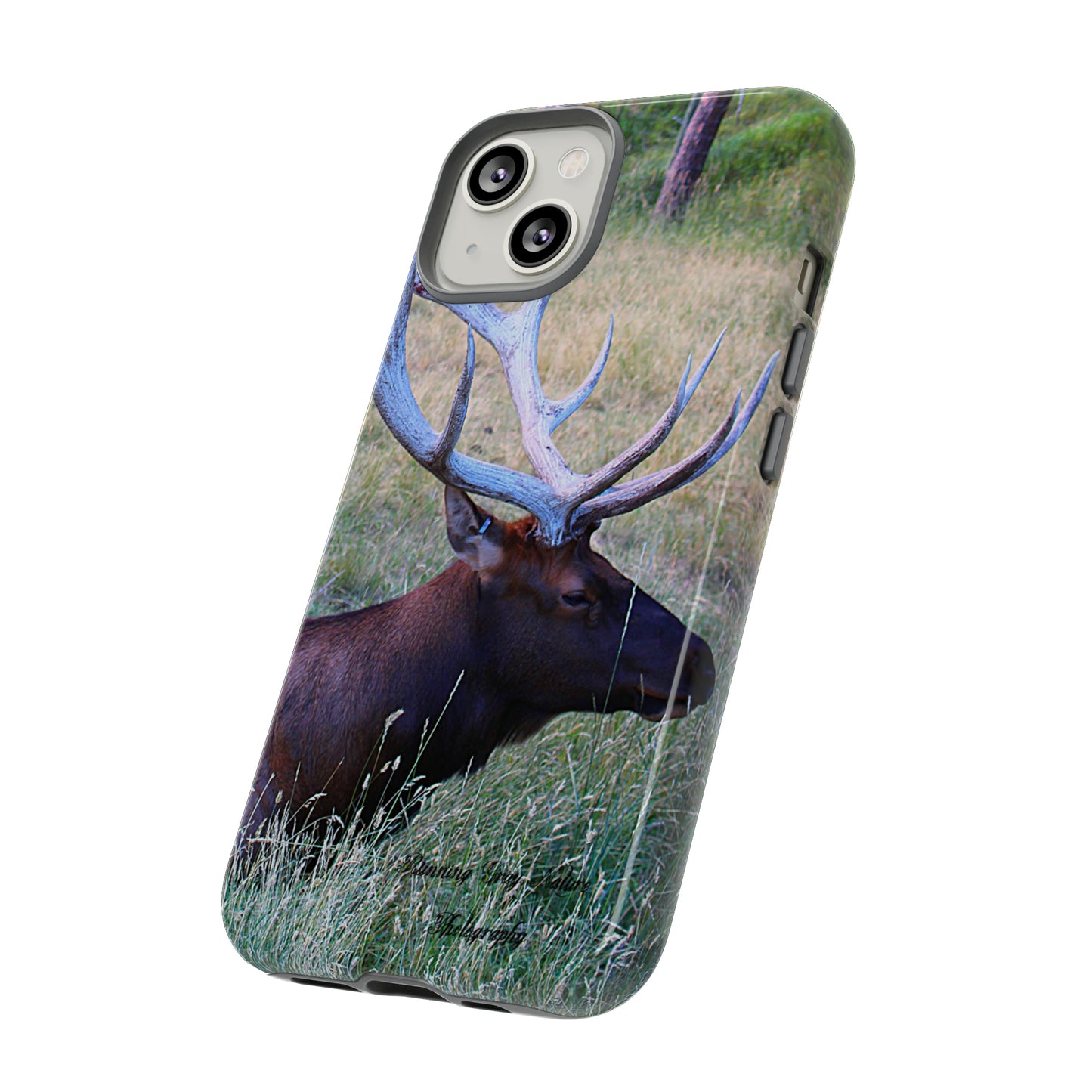 Elk Chilling Tough Cases