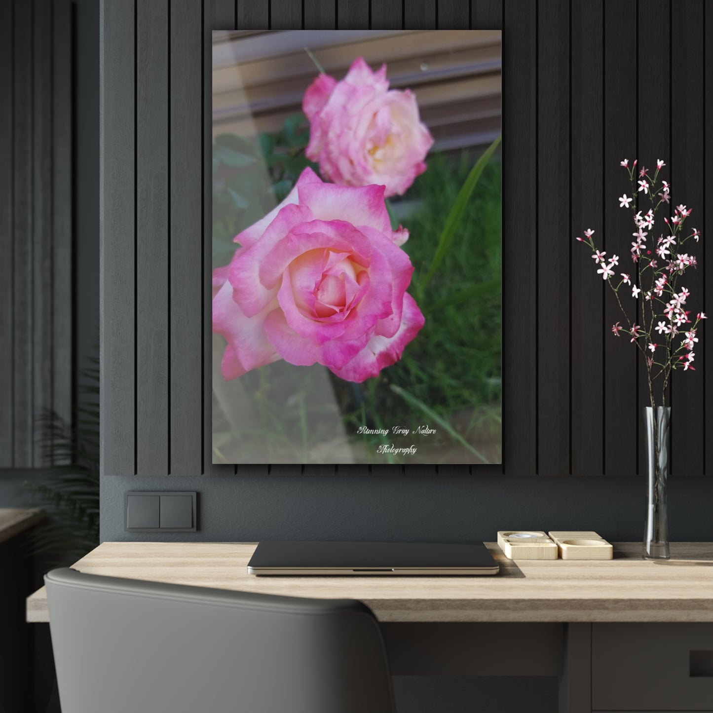 Pink Roses Acrylic Prints