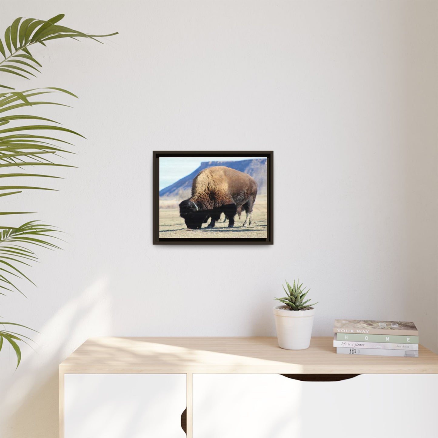Big Daddy Buffalo Framed Canvas