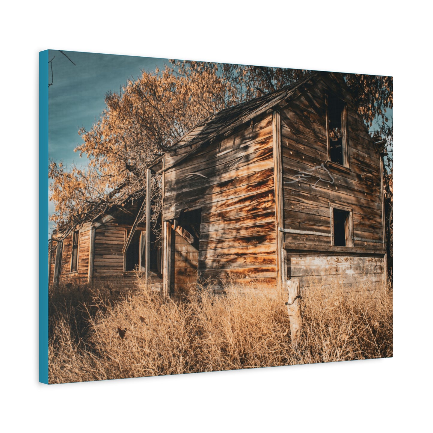 Vintage Cottage Canvas