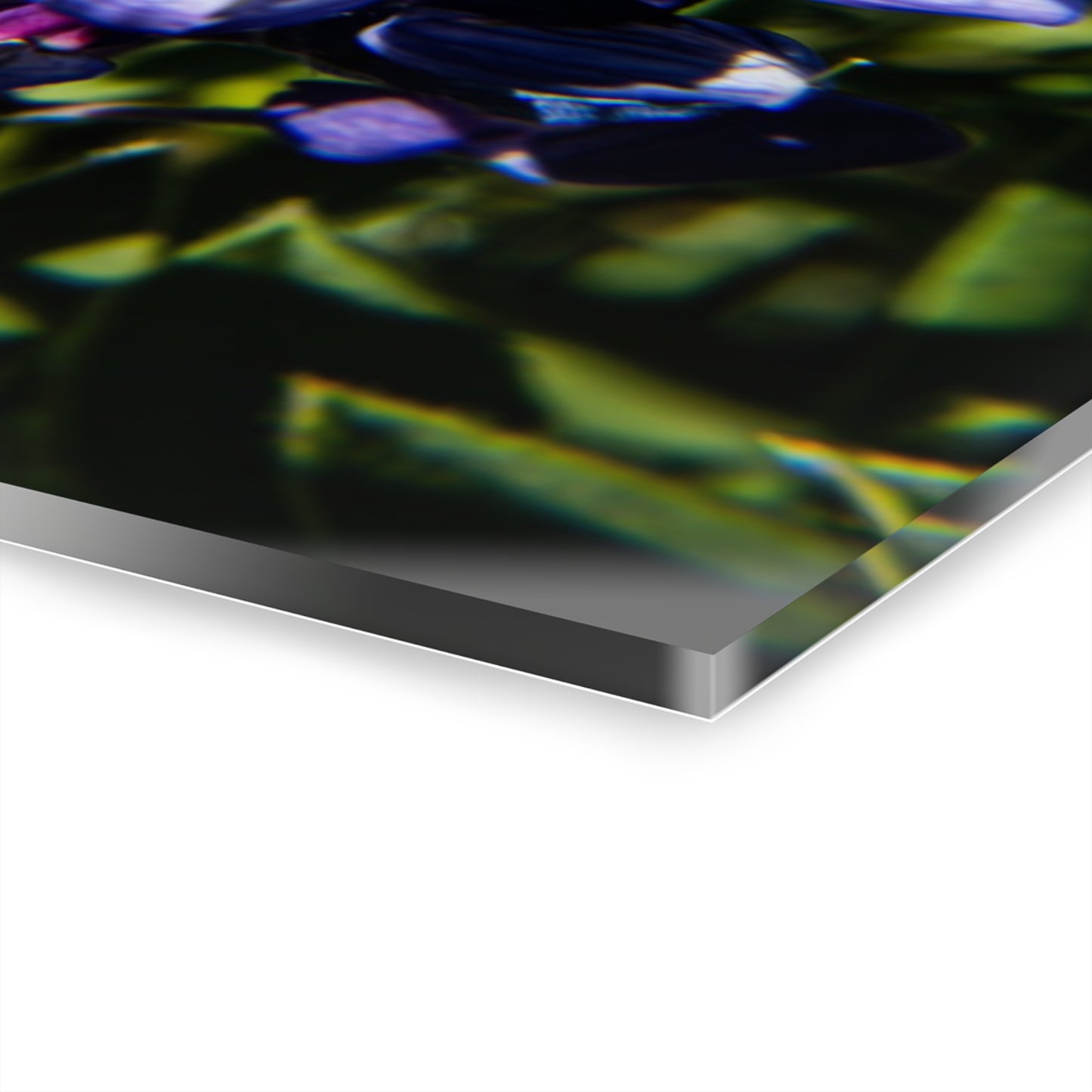 Arctic Lupine Acrylic