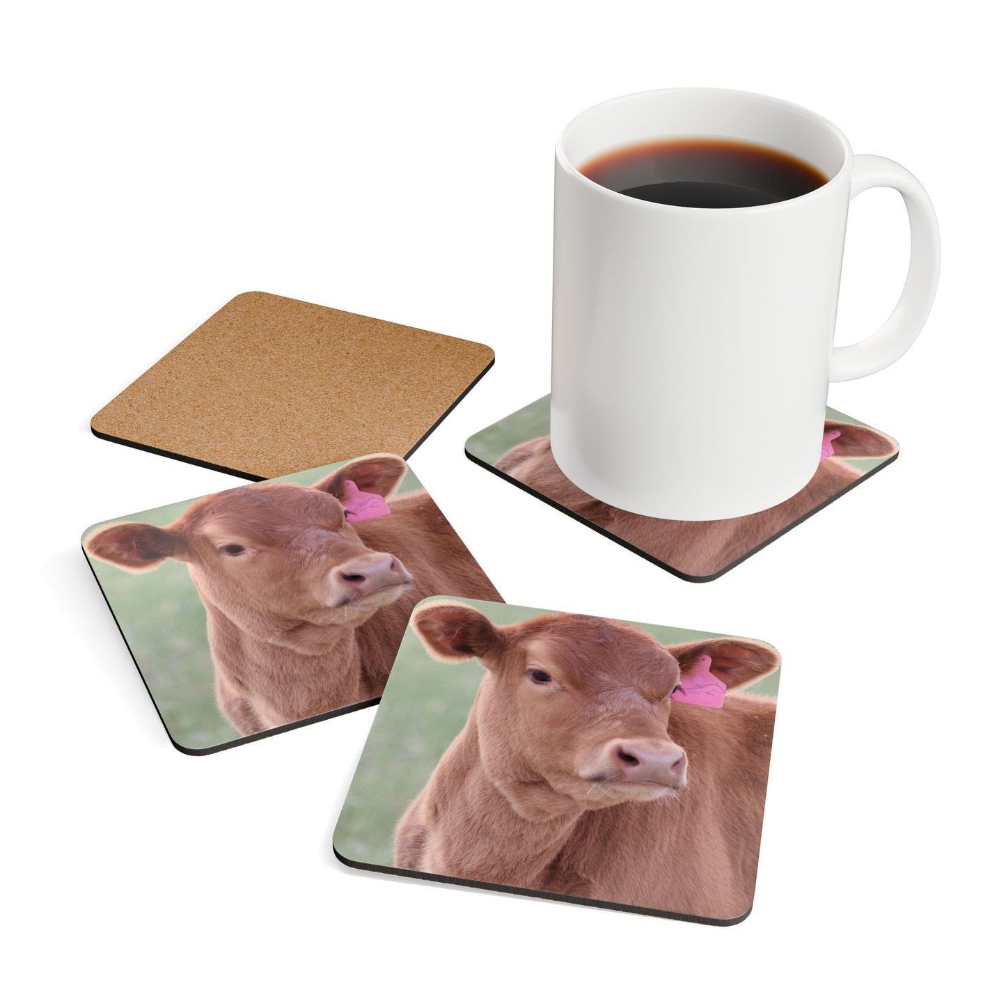 Corkwood Coaster Set
